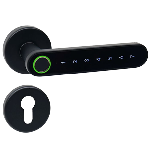 SMART HOME